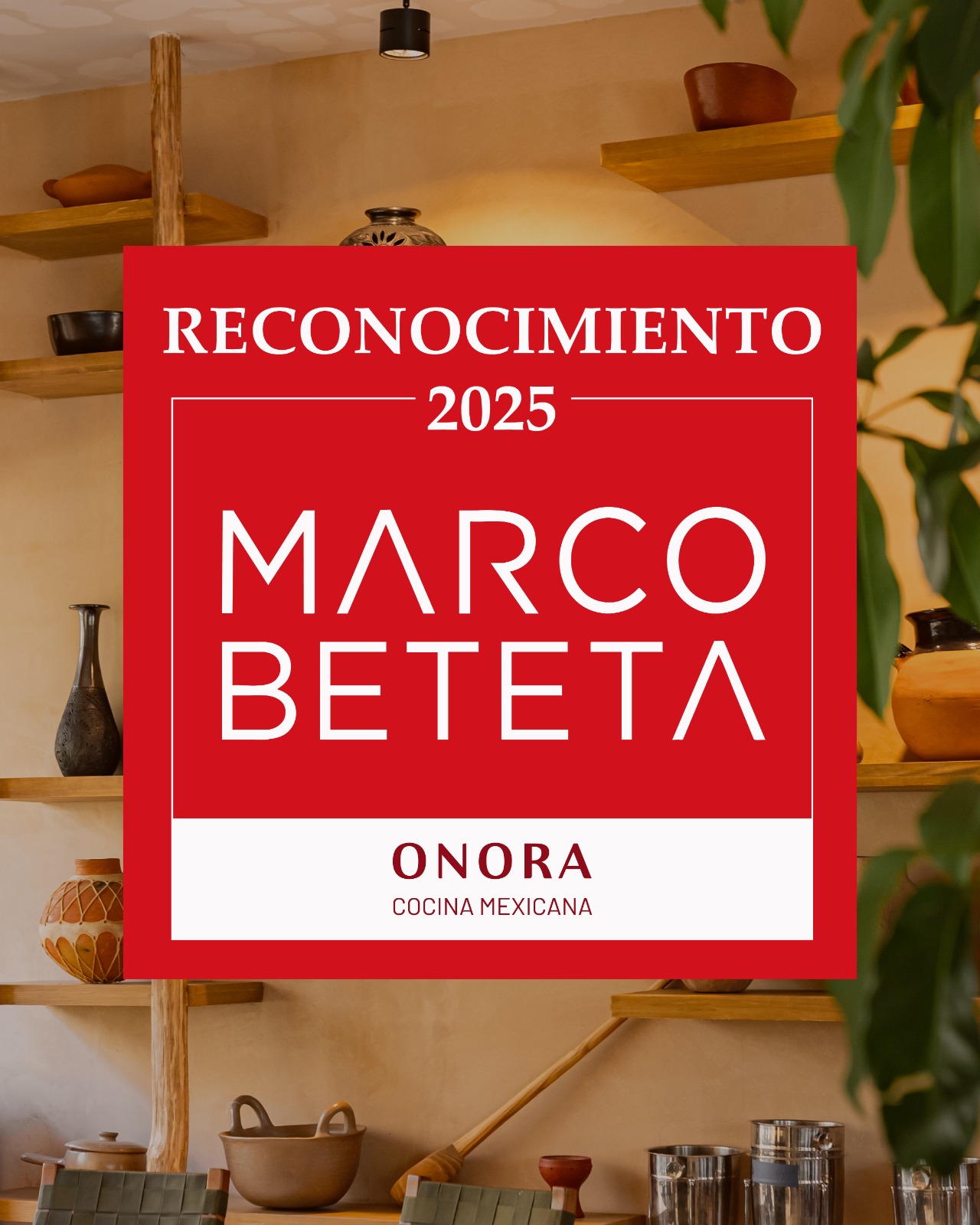 whatsapp image 2025 06 10 at 1 32 09 pm 1 jpeg