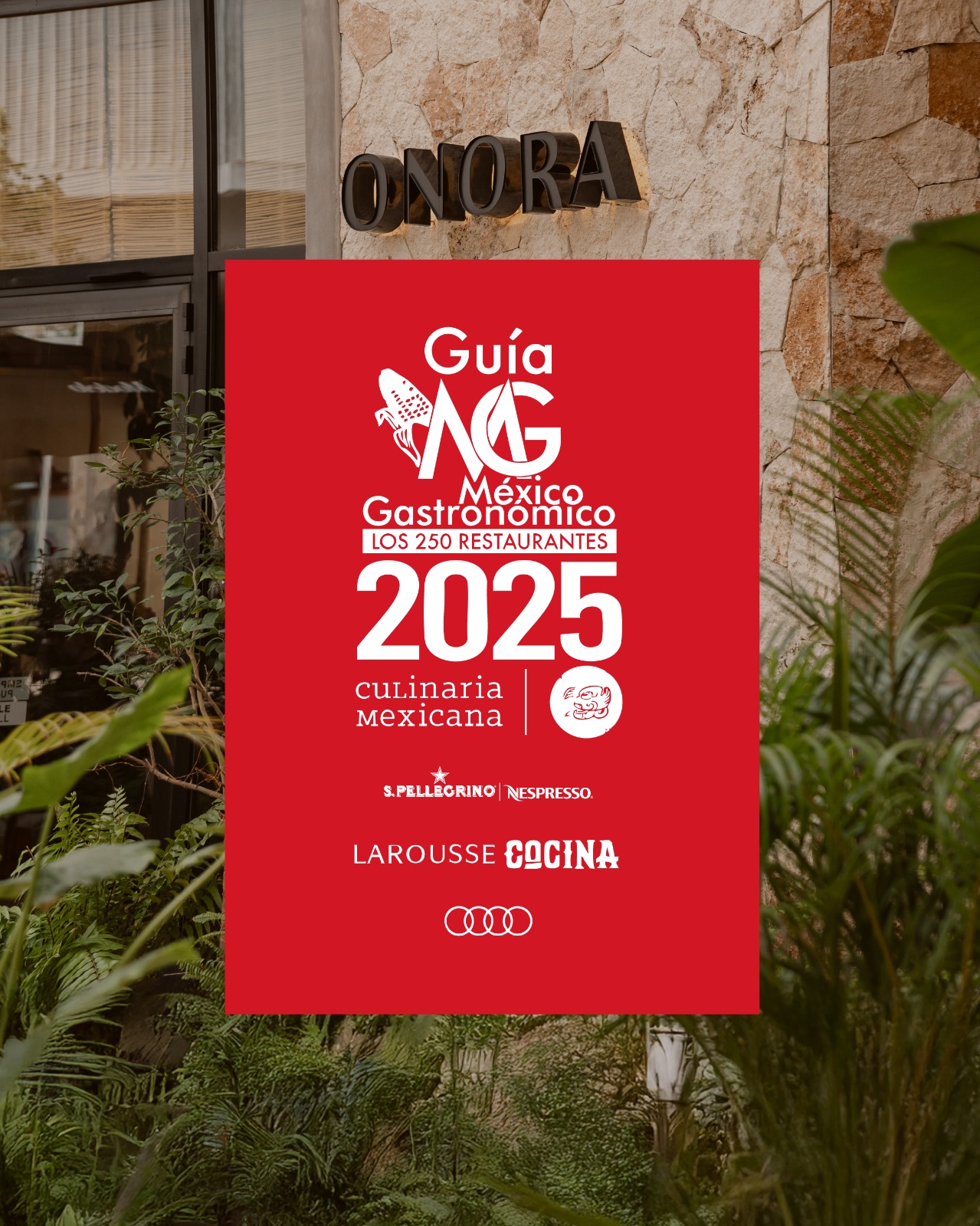 whatsapp image 2025 06 10 at 1 32 09 pm jpeg